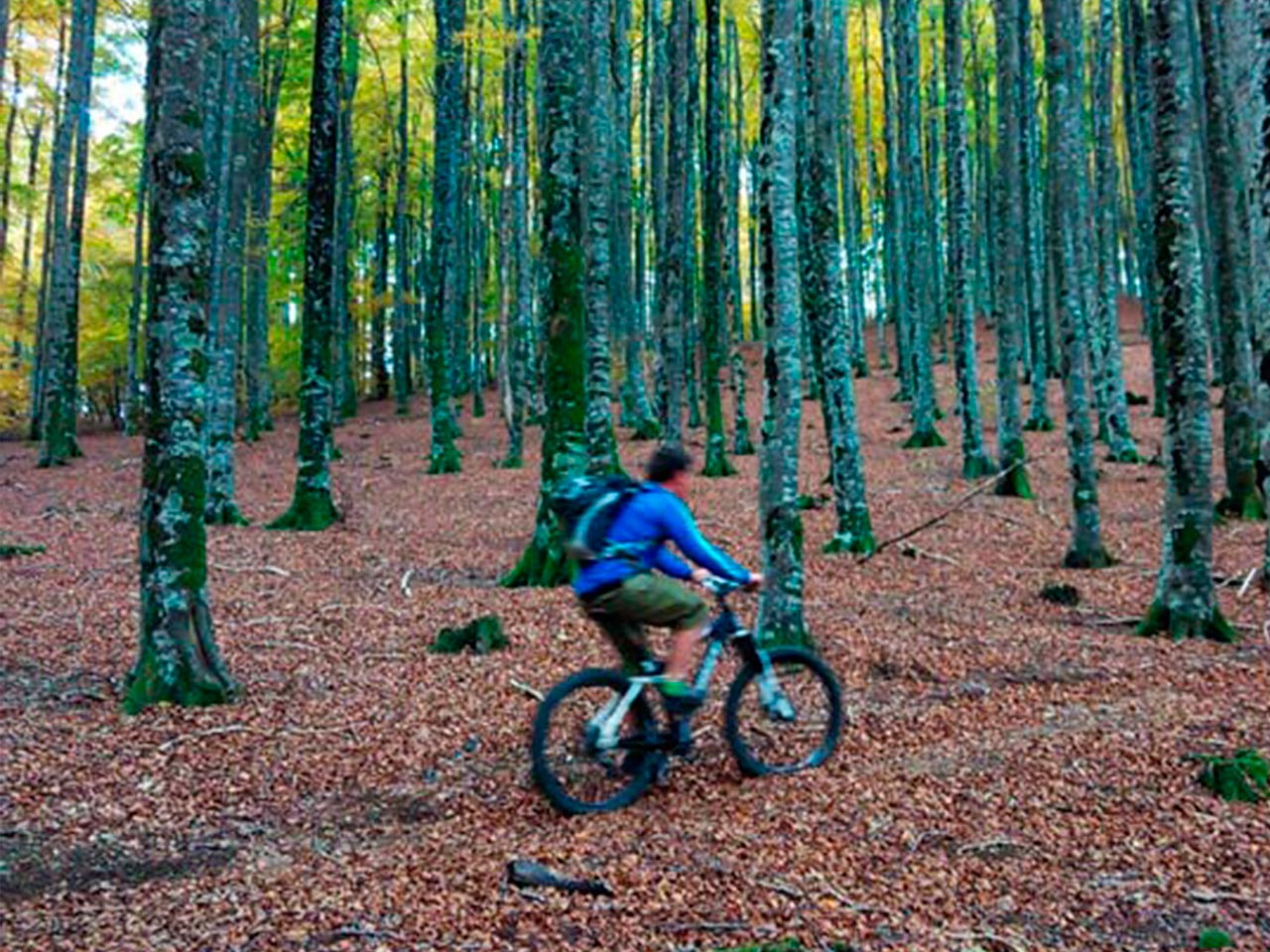 fageda BTT