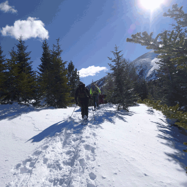 Raquetes de neu Parc Nacional