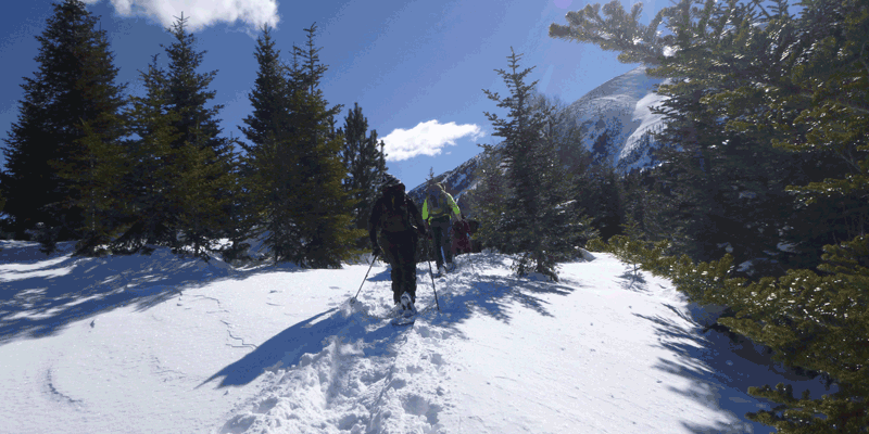 Raquetes de neu Parc Nacional
