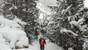 Lloguer de raquetes de neu a la Vall Fosca. Excursió al Parc Nacional